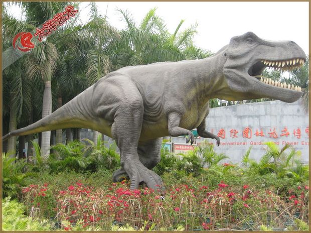 2007������װ�����