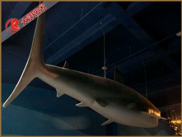 ΰ�ײ�����