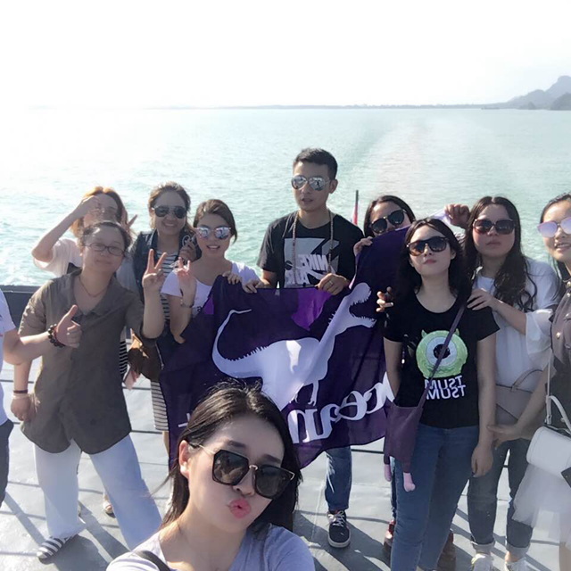 2017��4��ΰ�ײ�(�й���)�ٷ���վ�������ι�˾�Ž���̩����÷��