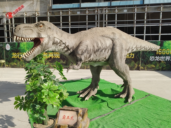 2017����������������չ��