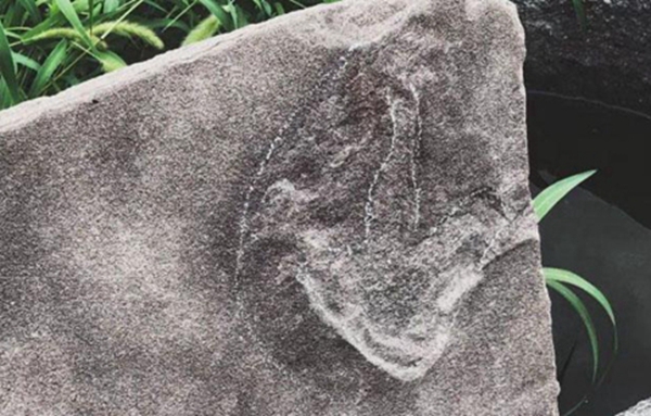 ΰ�ײ�����