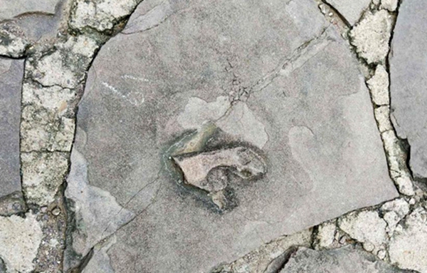 ΰ�ײ�����