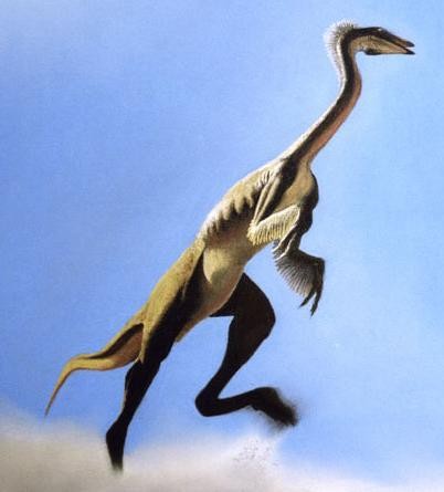 ΰ�ײ�����