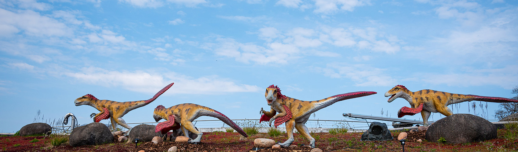 ����籾��������԰