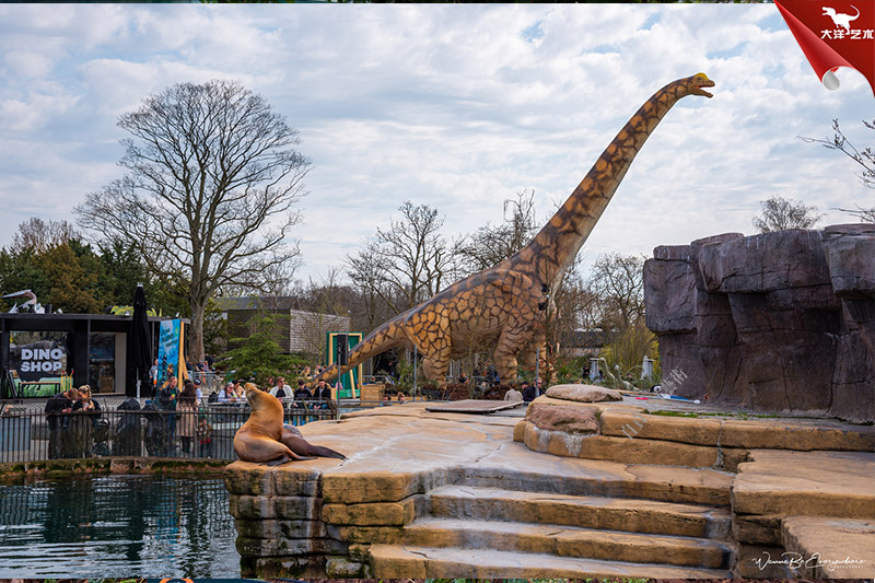 ����籾��������԰