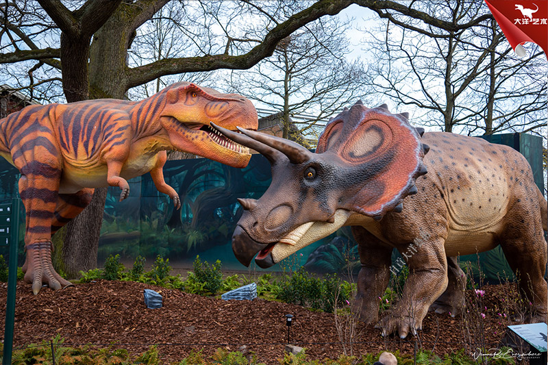 ����籾��������԰