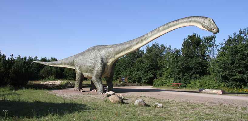 ����籾��������԰