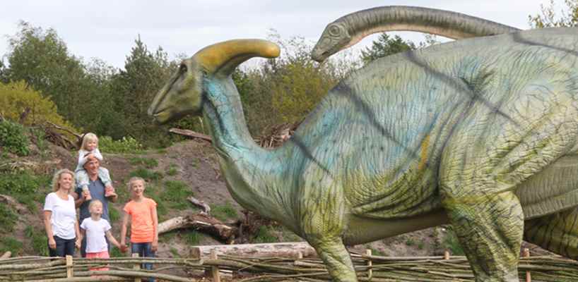 ����籾��������԰