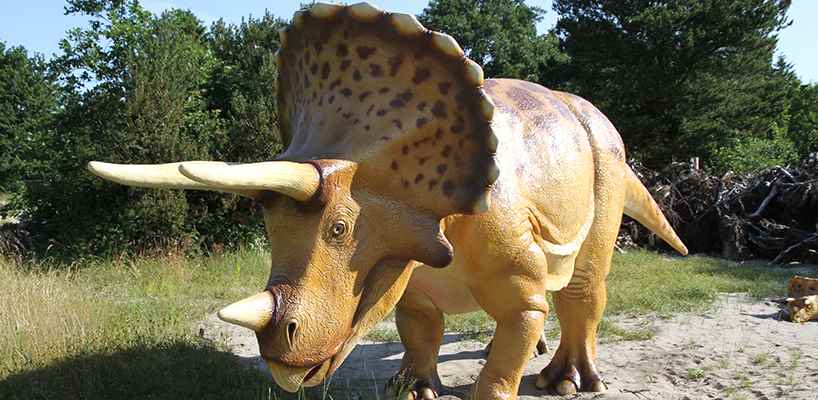 ����籾��������԰