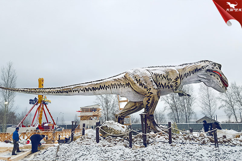 ����˹�����������԰