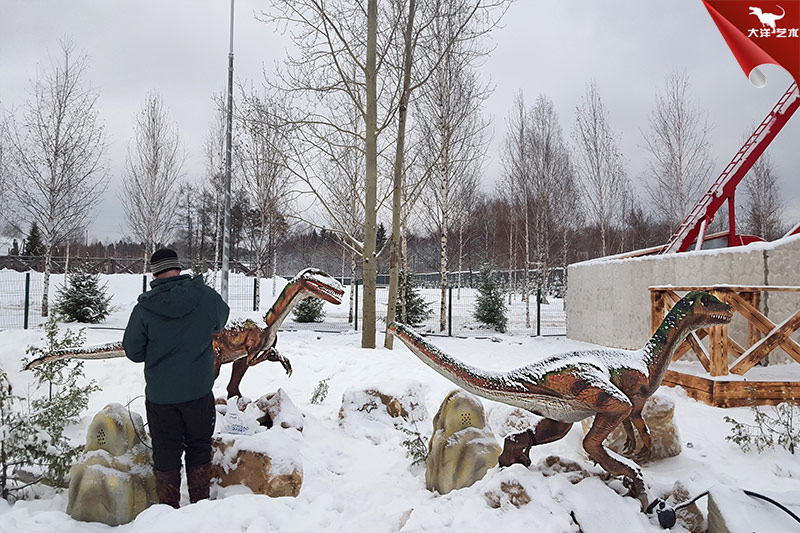 ����˹�����������԰