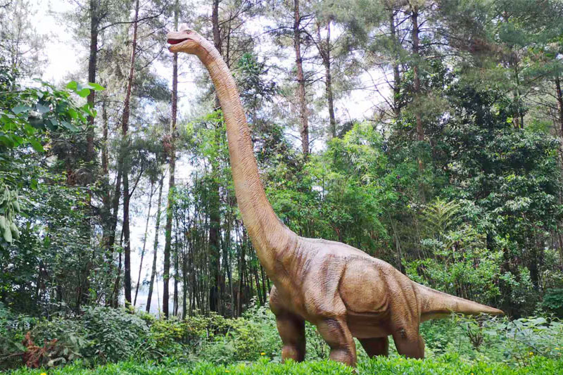 ��������ƺ�ɭ����̬����԰