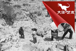 ΰ�ײ�����