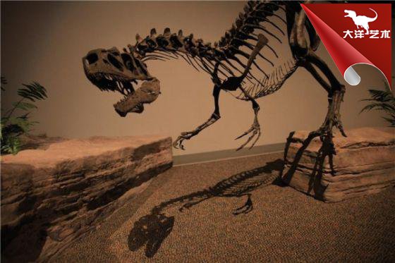 ΰ�ײ�����