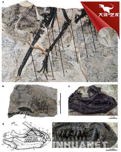 ΰ�ײ�����