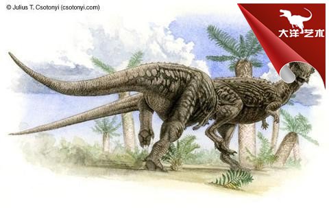 ΰ�ײ�����