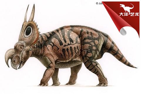 ΰ�ײ�����