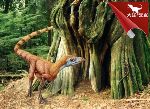 ΰ�ײ�����