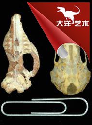 ΰ�ײ�����