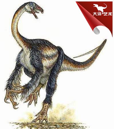 ΰ�ײ�����