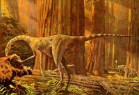 ΰ�ײ�����