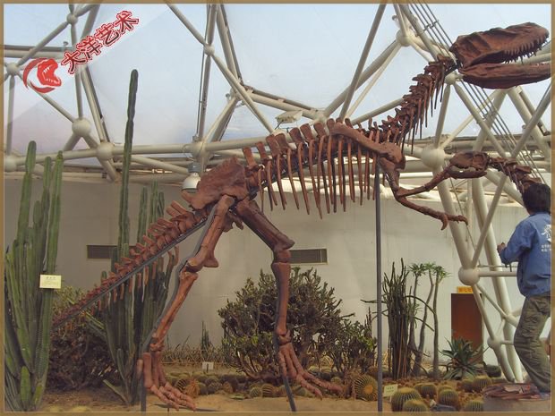 ΰ�ײ�����