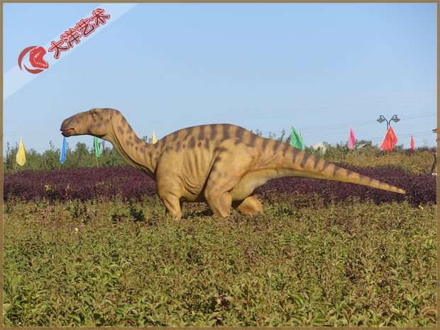 ΰ�ײ�����