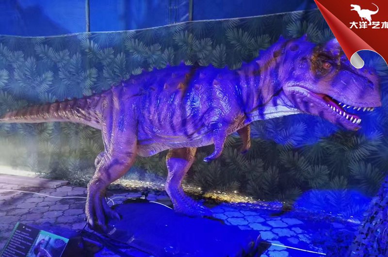 ����Ѳ��չ