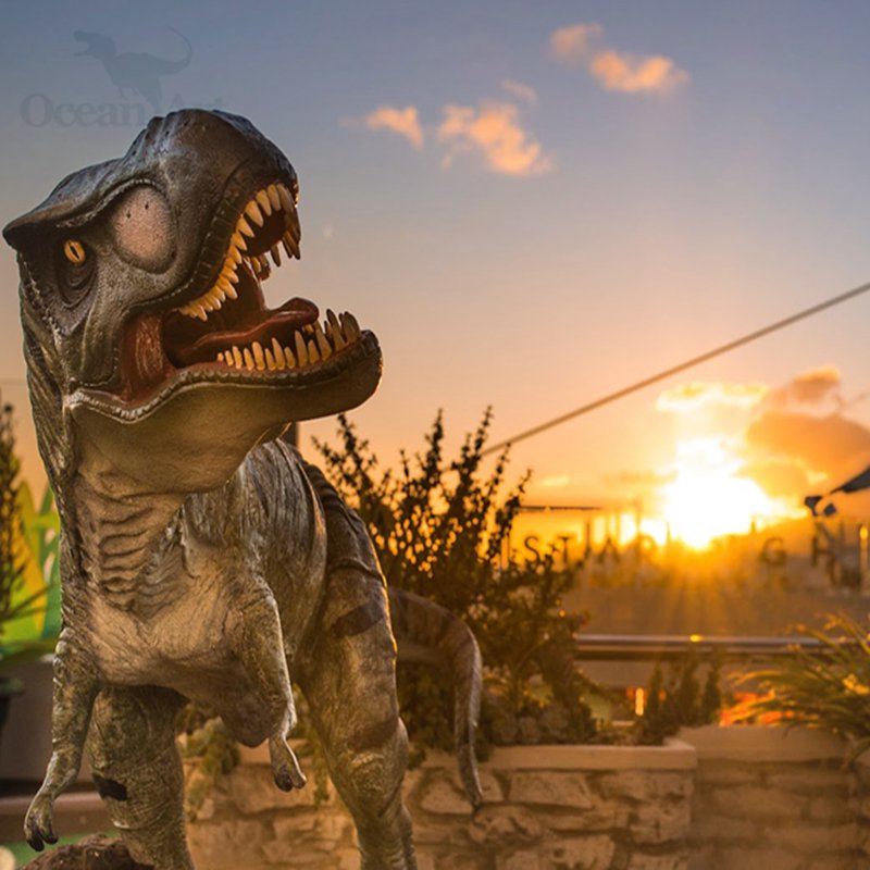 ΰ�ײ�����