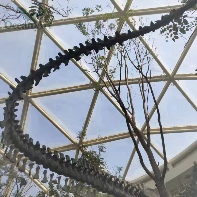 ΰ�ײ�����