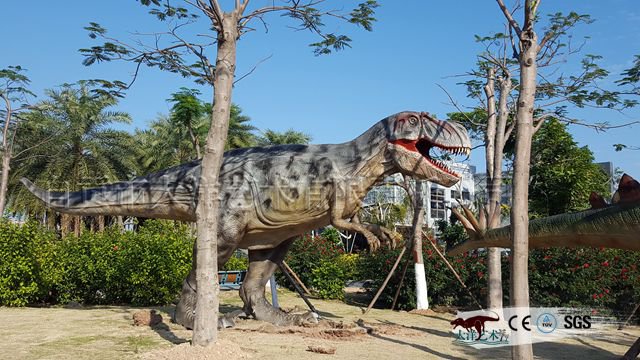 �������չ��