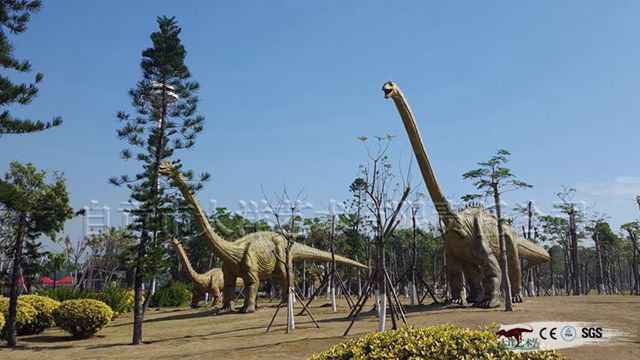 �������չ��