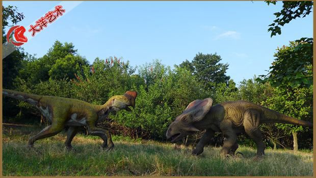 ΰ�ײ�����