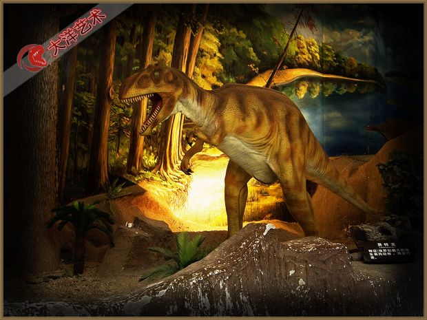 ΰ�ײ�����