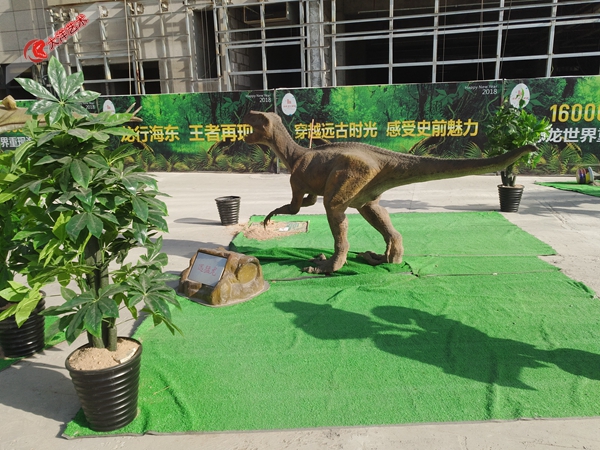 ΰ�ײ�����