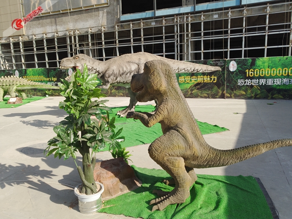 ΰ�ײ�����