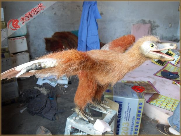 ΰ�ײ�����