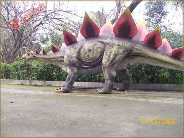 �������-���� 