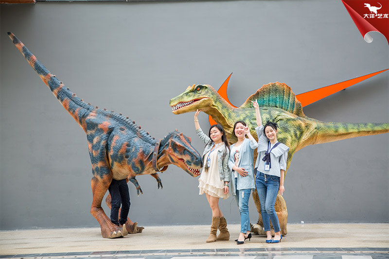 ����Ƥ���������������������ݳ���