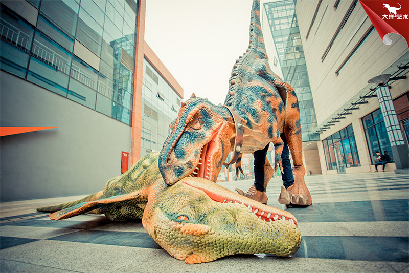 �������Ƥ�������������������������������������·�������������������������������������ݳ���