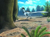 ���෢���������Ŀ�צ�����㼣