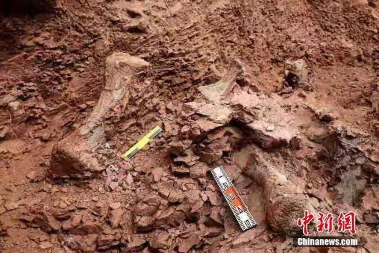 ���������ٴη������Ϳ���������ʯ