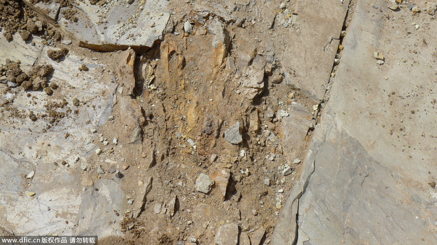 ΰ�ײ�����