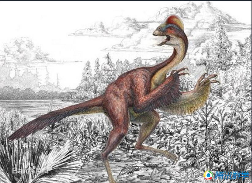 ΰ�ײ�����