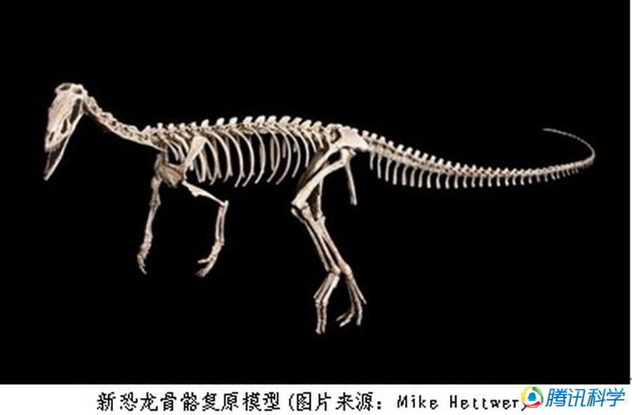 ΰ�ײ�����