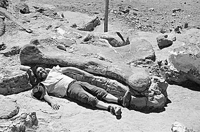 ΰ�ײ�����