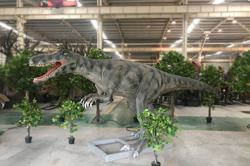 �����������������������צ��