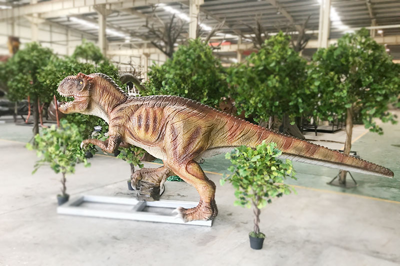 �����������������������