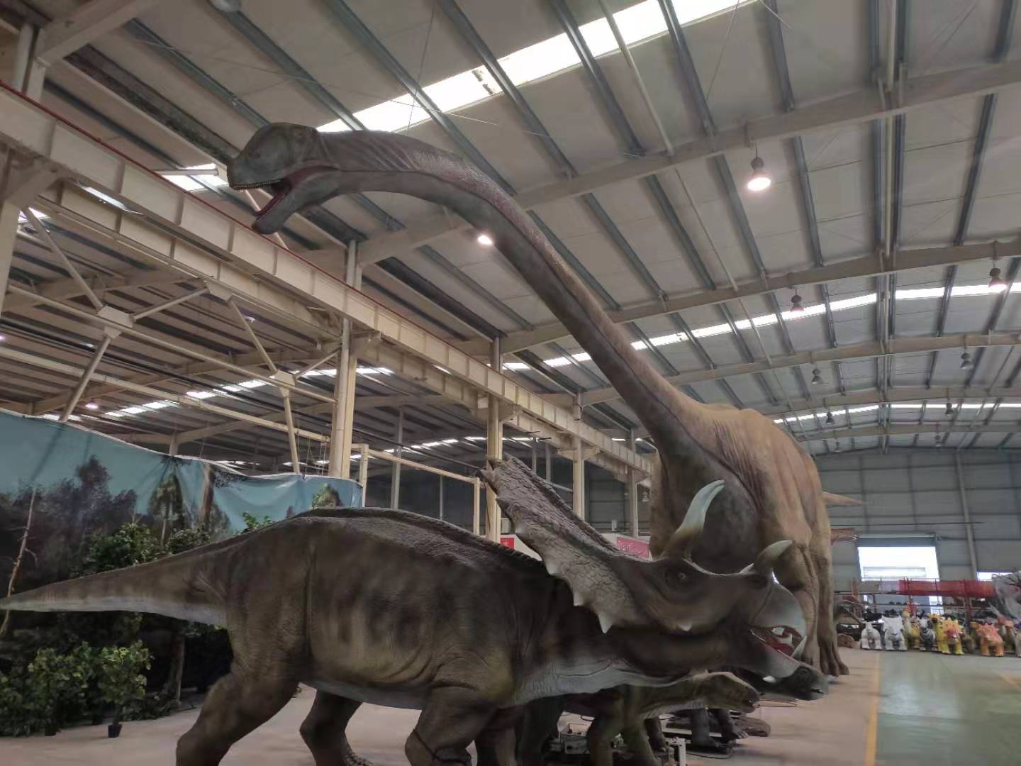 �����������ң��������������������Ż�