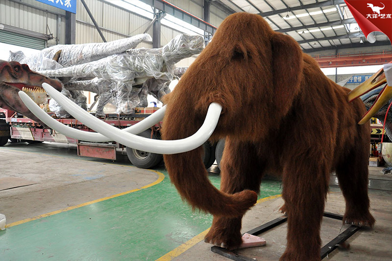 �����������������������������涯��������˾